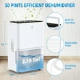 4,500 Sq.Ft Dehumidifier for Basement with Drain Hose & Water Tank, 50