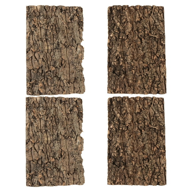 4 piezas de corteza para terrario de reptiles, corteza para paisajismo, corteza para tanque de reptiles, decoración de corteza de fondo, decoración de corteza