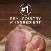 Purina ONE True Instinct Classic Ground Grain-Free Formulas With Real Turkey and Venison, and With Real Chicken and Duck Wet High Protein Dog Food Variety Pack