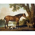 thumbnail image 2 of Stubbs, George 14x12 Black Ornate Wood Framed with Double Matting Museum Art Print Titled - A Bay Hunter, a Springer Spaniel and a Sussex Spaniel, 1782, 2 of 4