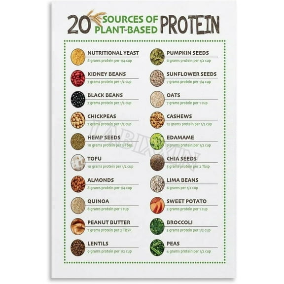 20 Sources Of Plant Based Protein Poster Healthy Food Wall Art Poster Wall Art for Bedroom Living Room Decor