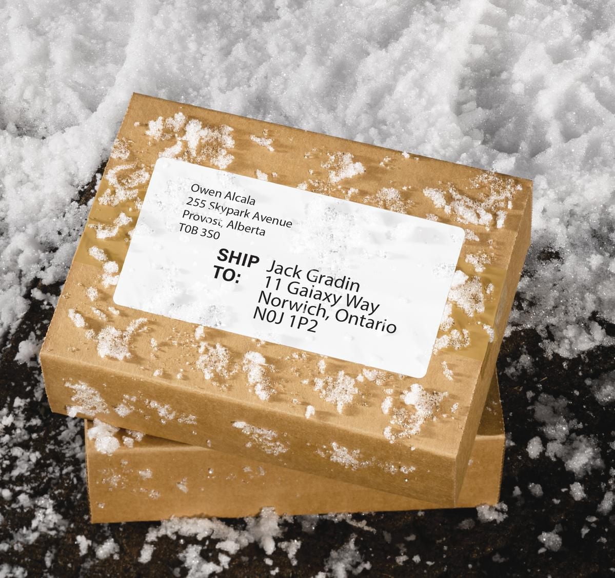 Avery Étiquettes imperméables, 2" x 4", pour imprimantes laser - 35523