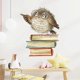 thumbnail image 5 of Funny Animal Wall Decals DIY Window Stickers Peel & Stick Wall Art, 5 of 5