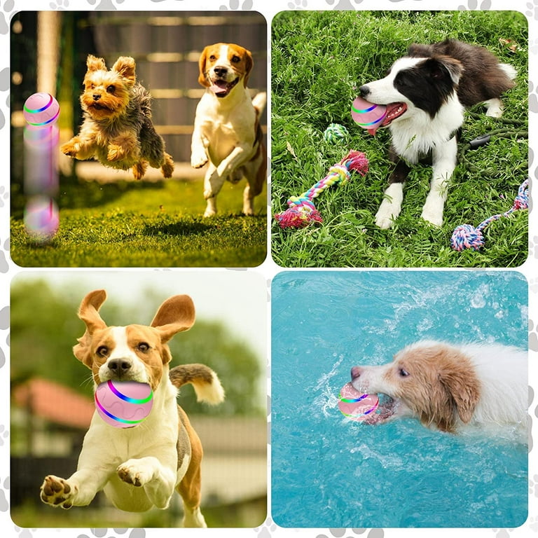 Interactive Dog Toys For Puppies, Dog Puzzle Toys, Dog Balls