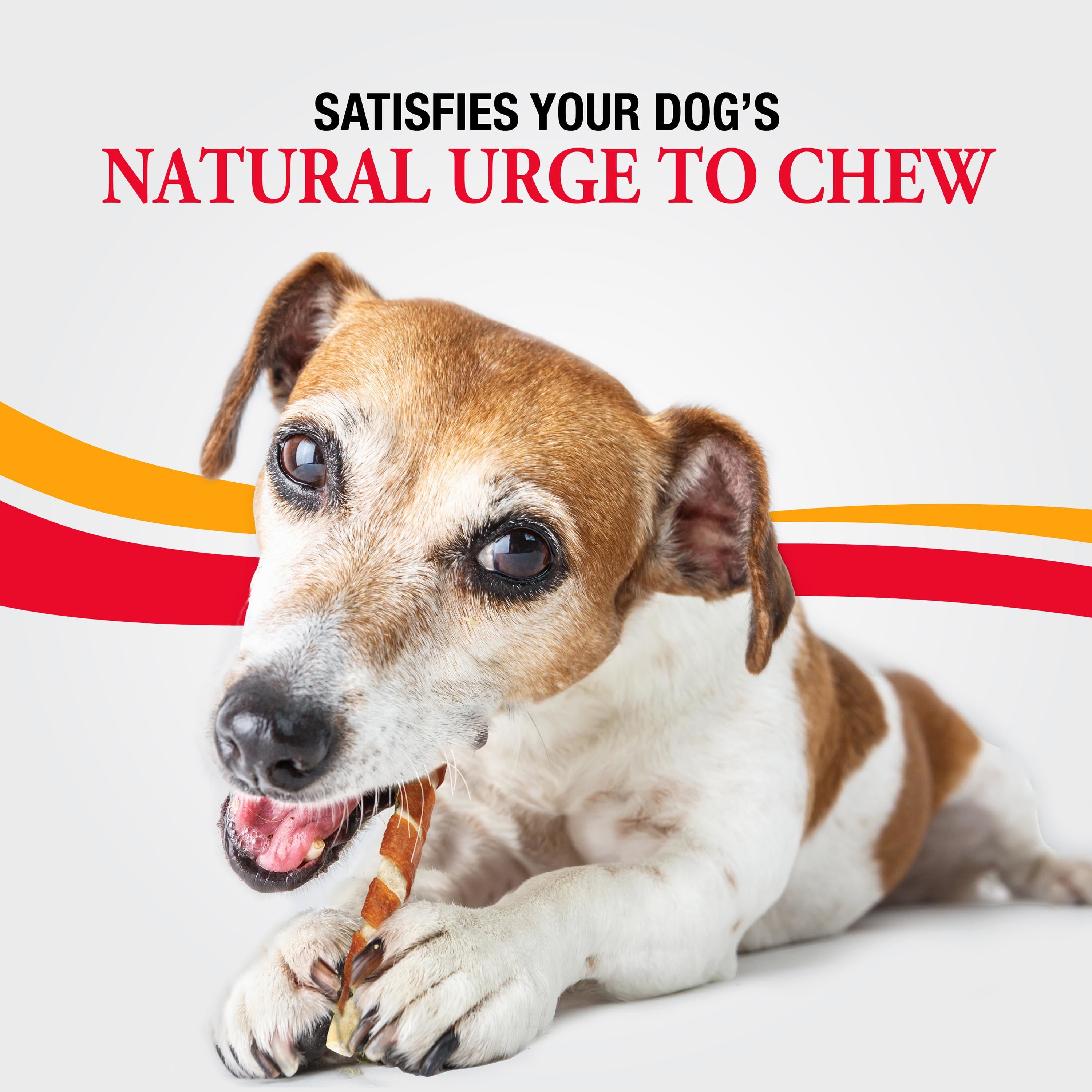 Good ‘n’ Fun Triple Flavor Munchy Sticks Chews for Dogs, Snack for All Dogs Made with Beef Hide, Chicken and Pork Hide, 10 Count