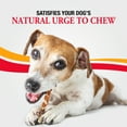 thumbnail image 6 of Good ‘n’ Fun Triple Flavor Munchy Sticks Chews for Dogs, With Beef, Chicken and Pork, 40 Count, 6 of 10