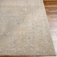 thumbnail image 3 of BoutiqueRugs Drika Traditional Area Rug - Taupe, Medium Gray, Tan - 10' x 13'11", 3 of 8