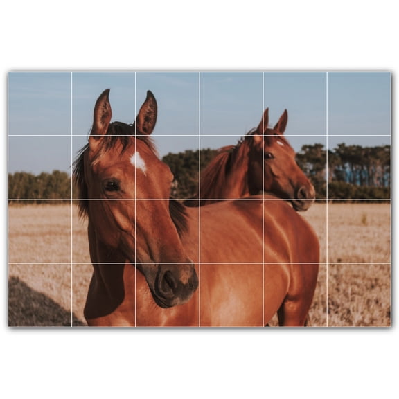 Picture-Tiles.com: Horse Ceramic Tile Wall Mural WAL500756-64XL. 72"W x 48"H using (24) 12" x 12" Ceramic Tiles-Satin Finish