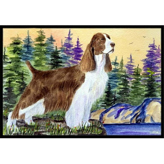 Springer Spaniel Indoor Or Outdoor Doormat - 24 x 36 in.