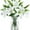 White, variant on 8Pcs Artificial Tiger Lily Flower Bouquet Fake Latex Lilies Flower Bulk for Home Wedding Indoor Outdoor Table Decor (White)