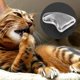 thumbnail image 1 of Zjchao 100 tapones para uñas de gato, protector de garras de cubierta suave para uñas de gato, tapas protectoras de garras de gato para mascotas, control de patas Suaves,, 1 of 7