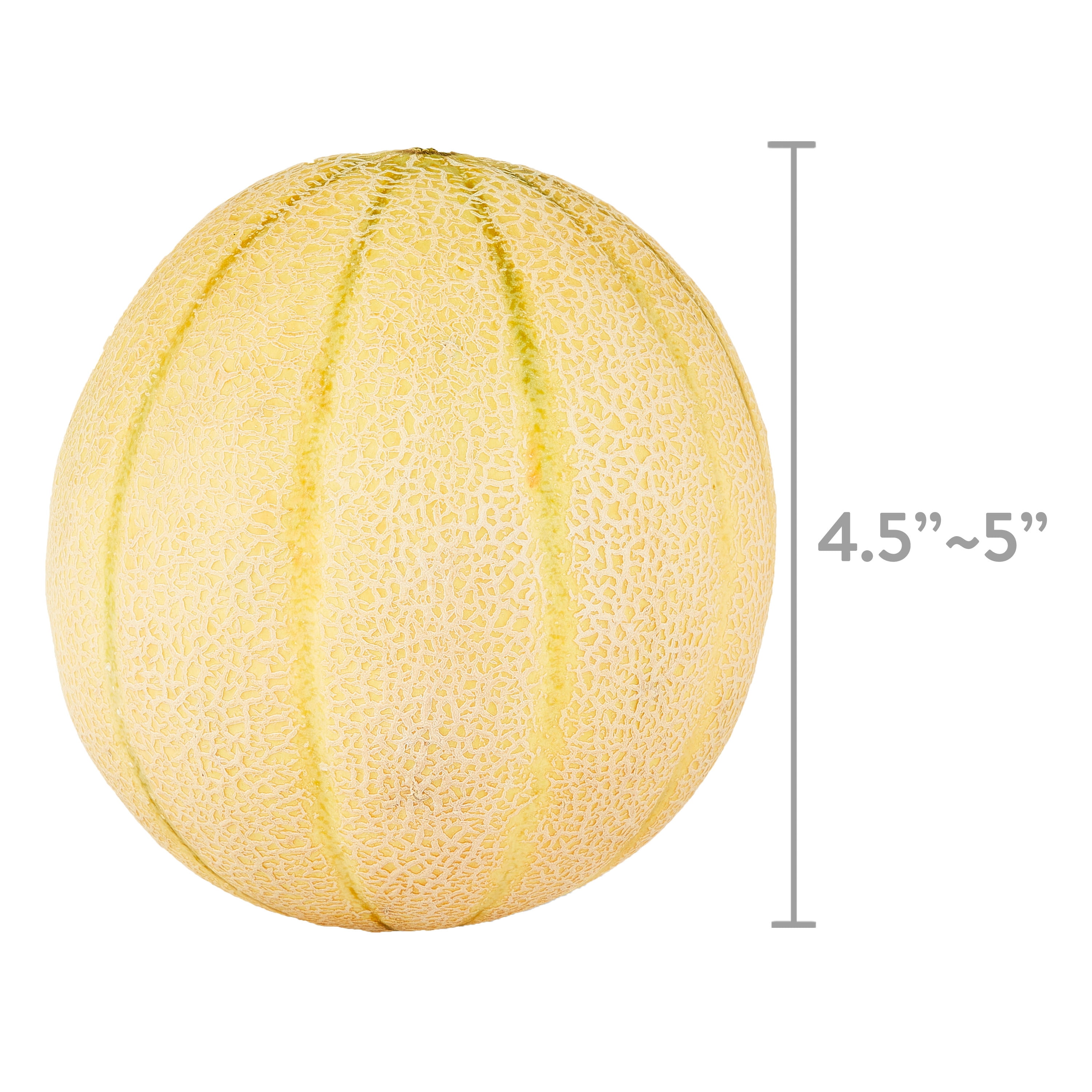 Fresh Tuscan Cantaloupe, Each