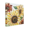 thumbnail image 4 of Canvas Wall Art - Jean Plout 'Sunflower Joy B' Wall Art for Living Room, Bedroom, or Office Décor by Trademark Fine Art - 14 x 14 Inches, 4 of 4