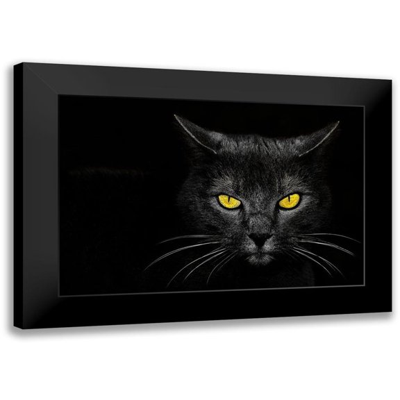Baloh, Davorin 14x11 Black Modern Framed Museum Art Print Titled - Monster Kill