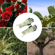 thumbnail image 5 of 1 par de guantes de jardinería estampados, trabajo de jardín, excavación de suelo, plantación de rosas, 5 of 6