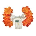 thumbnail image 2 of Fall Decor Multicolored Maple Leaf Lights,Maple Leaves Fairy Lights,20LED Lights Battery Operated Fall Leaves Garland with Lights,Door Lights String Home Decor Indoor Halloween Thanksgiving Decor, 2 of 4