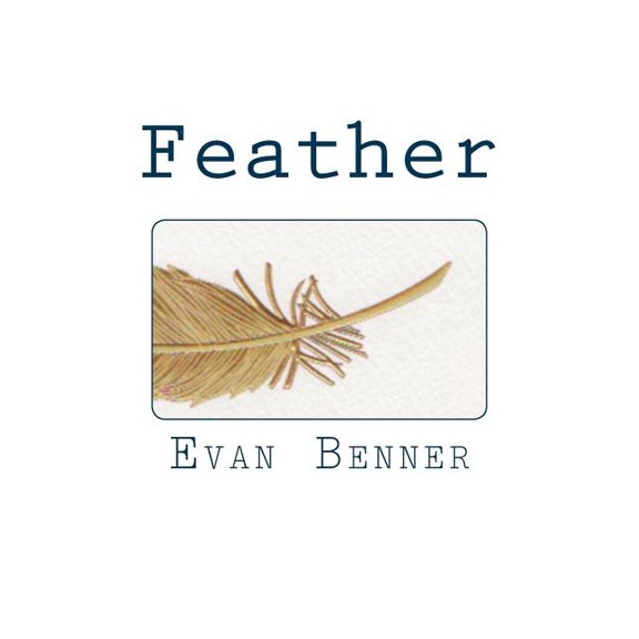 Feather (Paperback)