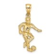 thumbnail image 4 of 14K Yellow Gold Charm Pendant Themed Textured 22 mm 14.3, 4 of 4