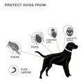thumbnail image 2 of Dewel-Collar antipulgas y garrapatas para perro, accesorio para mascotas, resistente al agua, 8 meses de protección, repele Mosquitos,0020-S, Fivean Collar antimosquitos para mascotas, 2 of 2