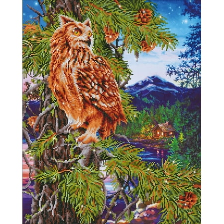 UPC: 4897073243795 | Diamond Dotz Diamond Embroidery Facet Art Kit 21.5 X26.25 -Twilight Wisdom