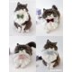 thumbnail image 5 of Ropa para gatos, vestido de primavera y verano, falda de hada para gatos Ragdoll, decoración de verano para gatitos y gatitos, 5 of 5