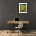 thumbnail image 3 of Talbot Frank, Christopher 20x23 White Modern Wood Framed Museum Art Print Titled - California, Cuyamaca Rancho SP Flower landscape, 3 of 4