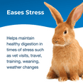 thumbnail image 5 of PetAg Bene-Bac Plus Gel for Small Animals, 4-Pack, 5 of 6