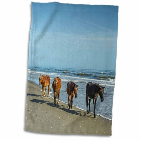 3drose A Group Of Wild Spanish Mustangs Of Corolla Walking Along The Beach Towel 15 By 22 Inch Walmart Com Walmart Com