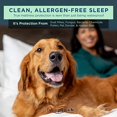 thumbnail image 4 of UltraPlush RV Mattress Protector - Soft & Comfortable Waterproof Mattress Pad for Camper Bedding, RV and Trailer Mattresses, King, 4 of 5