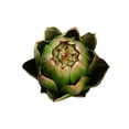 thumbnail image 1 of Artificial Artichoke Fake Vegetables and Fruits for Kitchen Decorations, 1 of 5