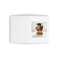 thumbnail image 3 of DistinctInk Greeting Card / Note Card - English Cocker Spaniel Puppy Graduation - PACK of 25, 3 of 7