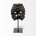 thumbnail image 5 of Mercana Jurassic 11.8"H  Black and Brown Resin Replica Tyrannosaurus Skull, 5 of 9