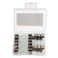6x30mm 10 A 10 amp 250 V 0.24x1.18 Inch Volt F10AL250V Fast-Blow Glass ...
