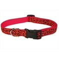 thumbnail image 1 of Leopard Dog Collar, Orange - Medium, 1 of 1