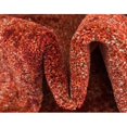 thumbnail image 4 of Unique Loom Del Mar Tonal Design Area Rug 8' x 11' Rectangle Terracotta/Red, 4 of 5