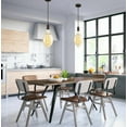 thumbnail image 2 of Westinghouse Lighting 6357300 1 Light LED Mini Pendant Oil Rubbed Bronze Finish with Oversized Filament Lamp, 2 of 2