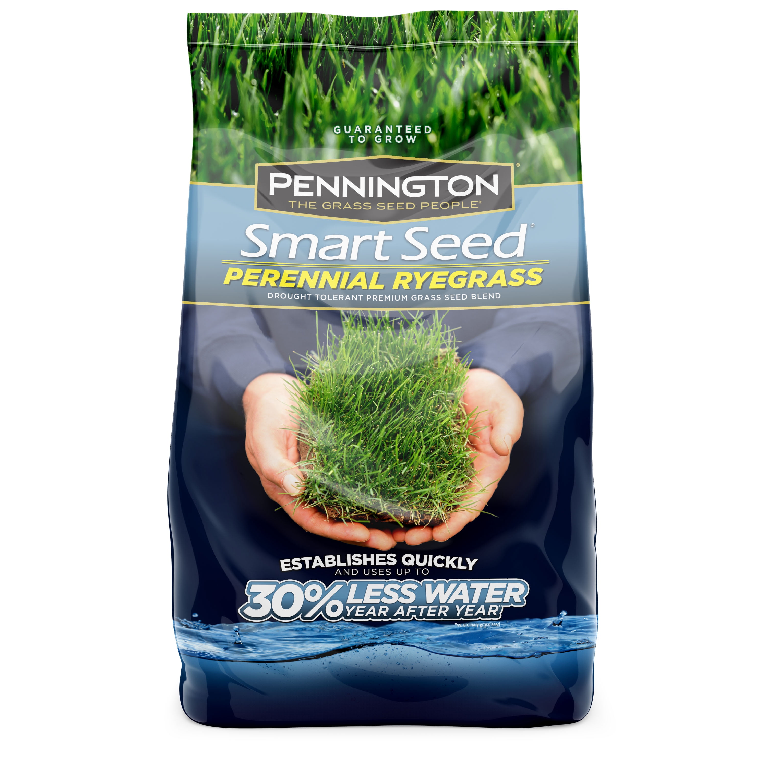 Pennington smart seed perennial ryegrass grass seed 3 lb covers up to