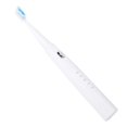 thumbnail image 1 of Spinbrush Classic Clean Powered Toothbrush, 1 Count, 1 of 5