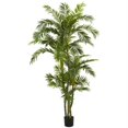 thumbnail image 1 of 6&rsquo; Curvy Parlor Palm Silk Tree, 1 of 1
