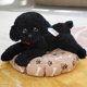 thumbnail image 3 of Soft Realistic Teddy Dog Plush Toy Funny Simulation Stuffed Little Puppy Dolls Lovely Birthday Gift for Baby Kids Girls, 3 of 5