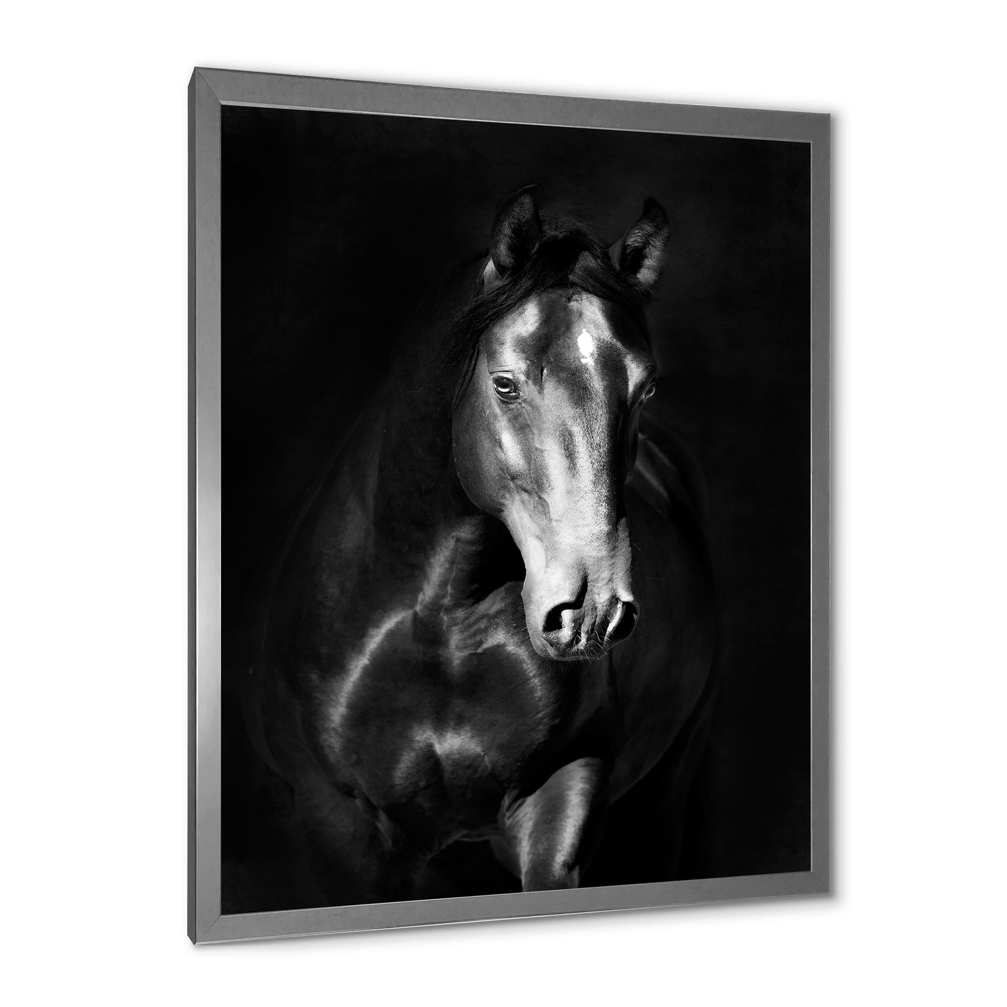 Designart 'Close Up Portrait Of Black Kladruby Horse' Farmhouse Framed Art Print