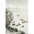 thumbnail image 2 of Koson, Ohara 23x32 White Modern Wood Framed Museum Art Print Titled - Ducks in the water , 2 of 4