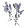 thumbnail image 3 of 10 piezas de flores prensadas, flores de salvia secas naturales reales, manualidades de bricolaje, 6-6 cm, 3 of 9