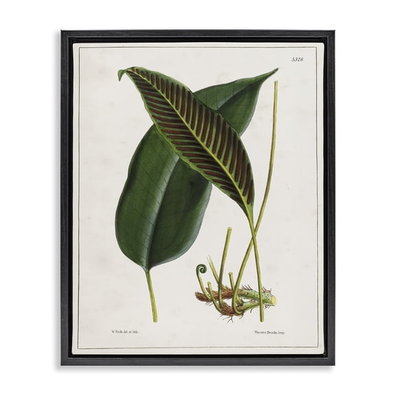 Stupell Industries Leaf and its Underside Study Plants & Flowers Painting Black Floater Framed Canvas Art Print Wall Art, 17 x 21