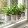 KGJQ Window Plant Shelf with Suction Cup And Protective Edge, Clear ...