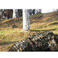 thumbnail image 3 of Almohadilla De Tiradores De Entrenamiento De Colchoneta De Tiro Plegada shamjiam Almohadilla de tiro, 3 of 9