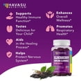 thumbnail image 4 of Havasu Nutrition Elderberry Gummies with Zinc and Vitamin C, Immune Support for Adults, 120 Count, 4 of 8