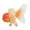 001, variant on Win s Way Realistic Fish Figurine with Sturdy Base, Elegant Ocean Desktop Ornament, Nautical Sculpture Home Decorative Model for Living Room Entryway Bathroom