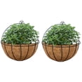 thumbnail image 1 of Nuptio 2 Pcs Metal Wall Planter with Coconut Liners for Outdoor Plants, 1 of 7