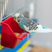 Wild Harvest Molting Supplement for Small Animals